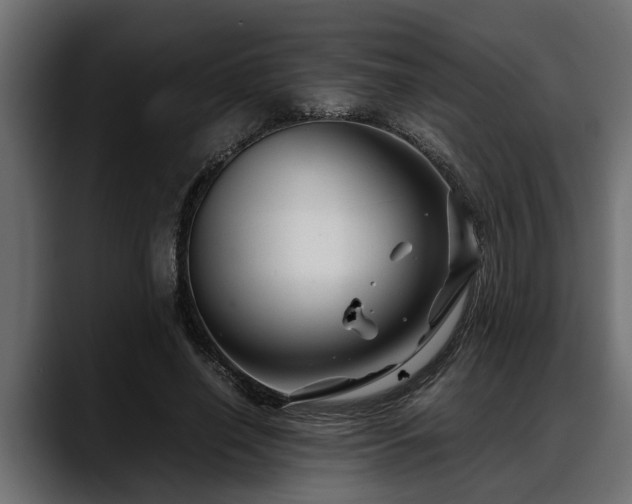 X0000088360638200705291308