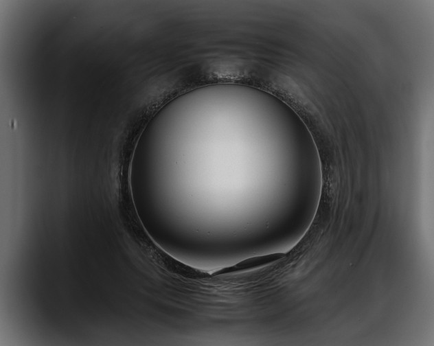 X0000088360639200705291308