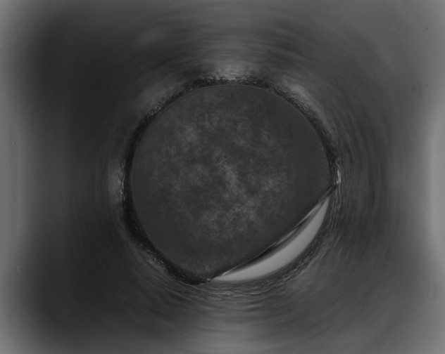 X0000088360640200705291308