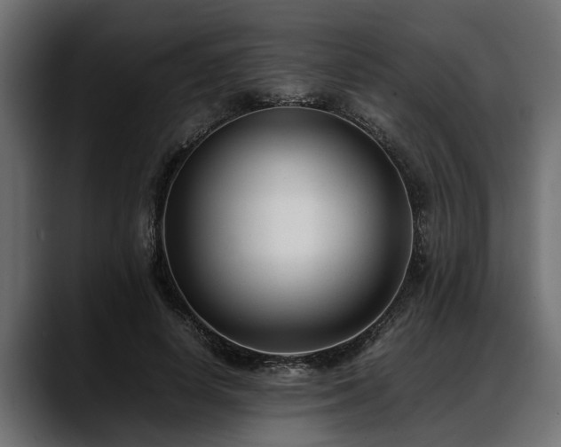 X0000088360642200705291308