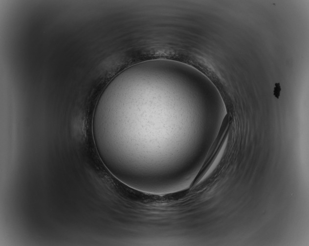 X0000088360643200705291308