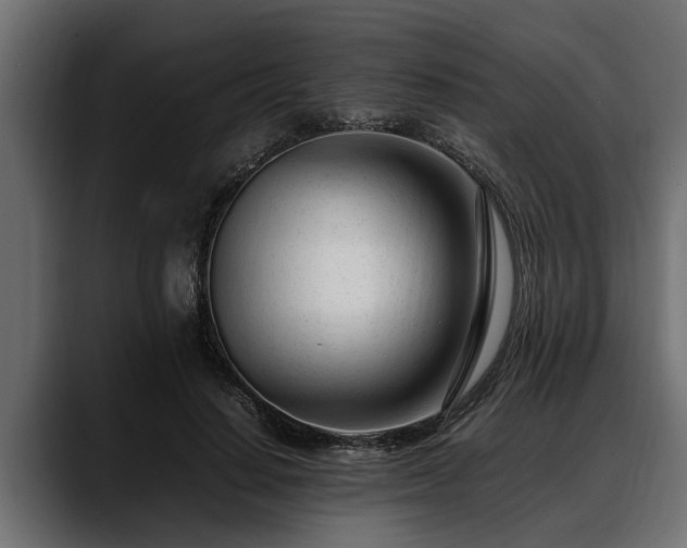 X0000088360644200705291308