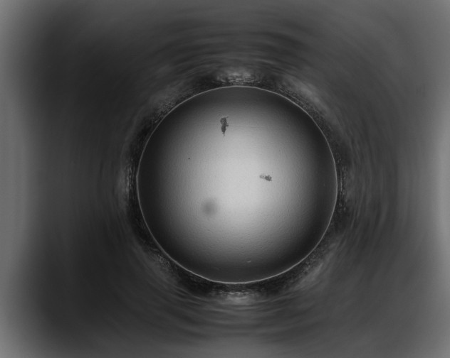 X0000088360645200705291308