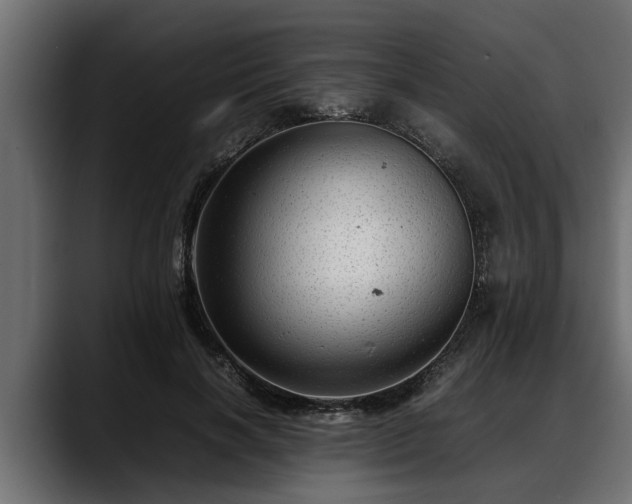 X0000088360646200705291308