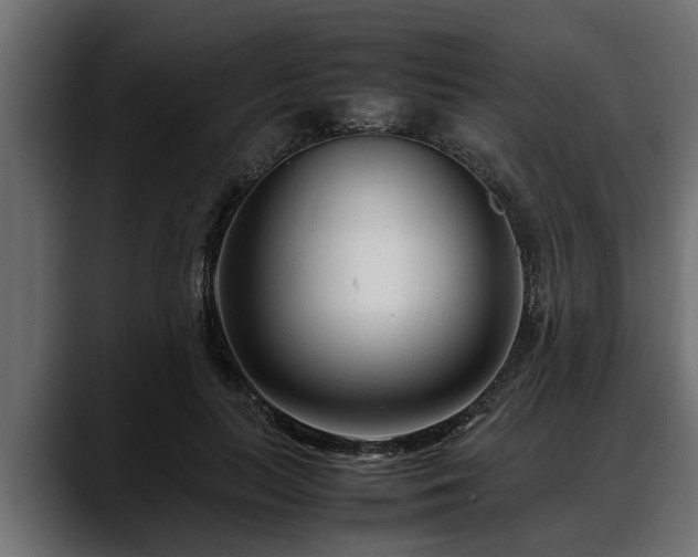 X0000088360647200705291308