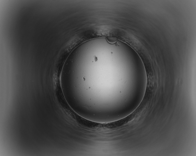 X0000088360648200705291308