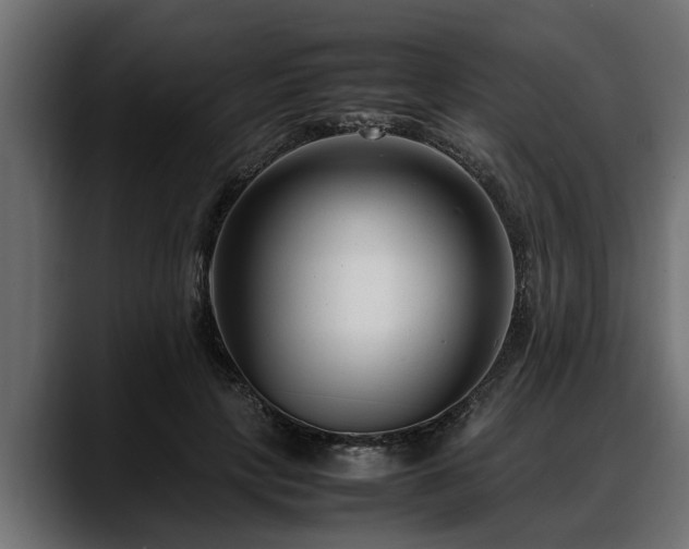 X0000088360649200705291308