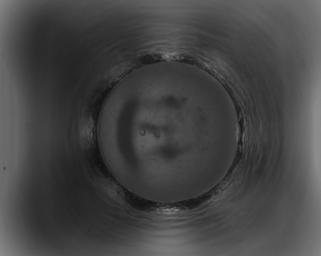 X0000088360650200705291308