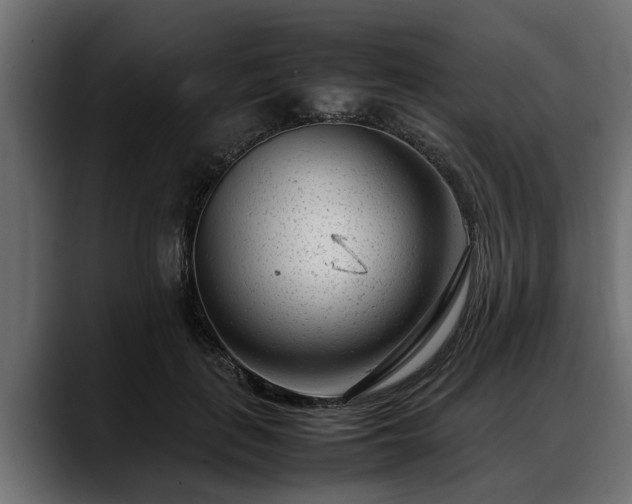 X0000088360651200705291308