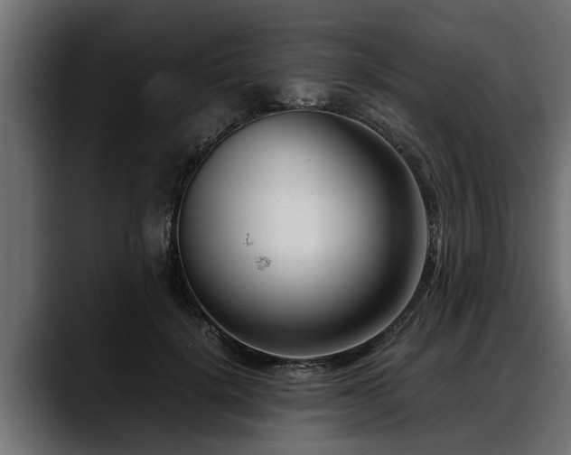 X0000088360652200705291308