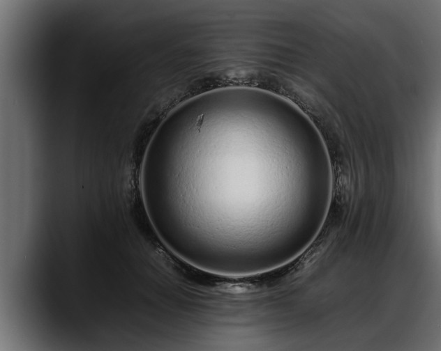 X0000088360654200705291308