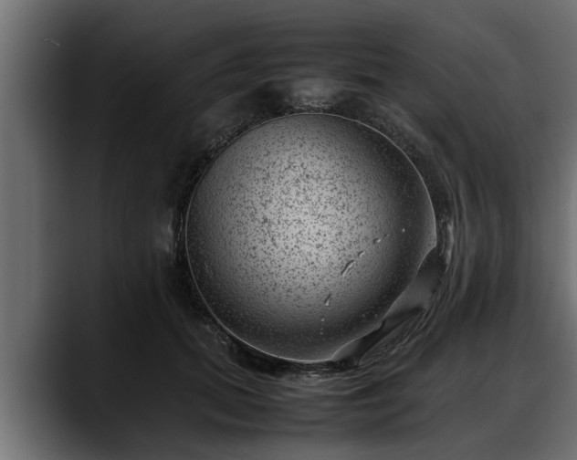 X0000088360655200705291308