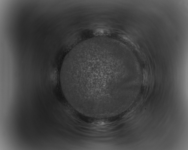 X0000088360659200705291308