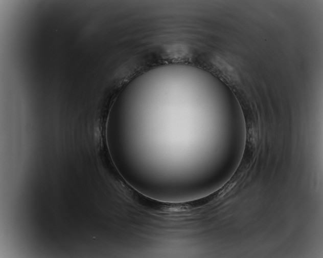 X0000088360662200705291308