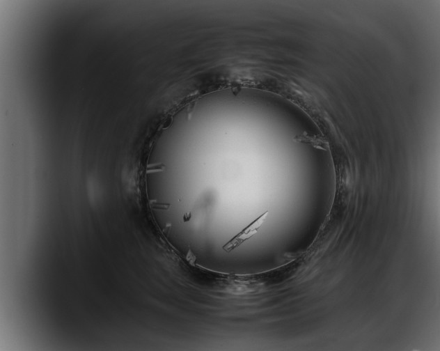 X0000088360663200705291308