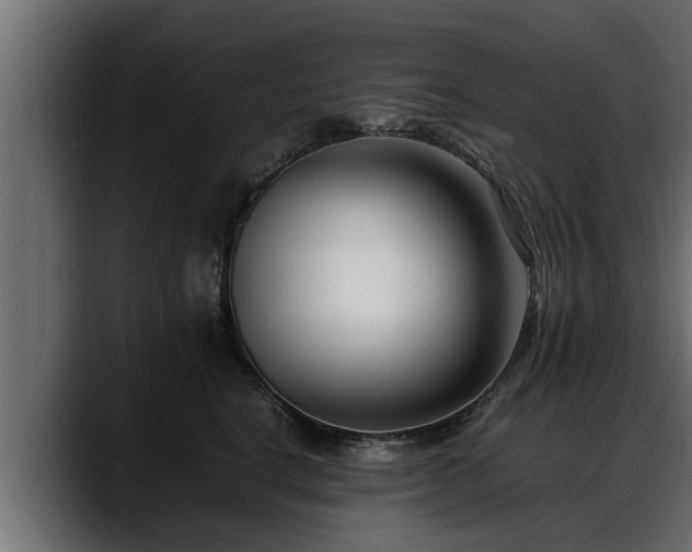 X0000088360664200705291308