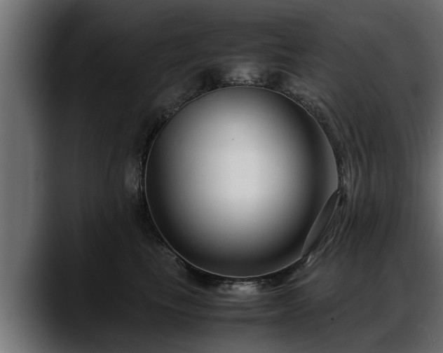 X0000088360665200705291308