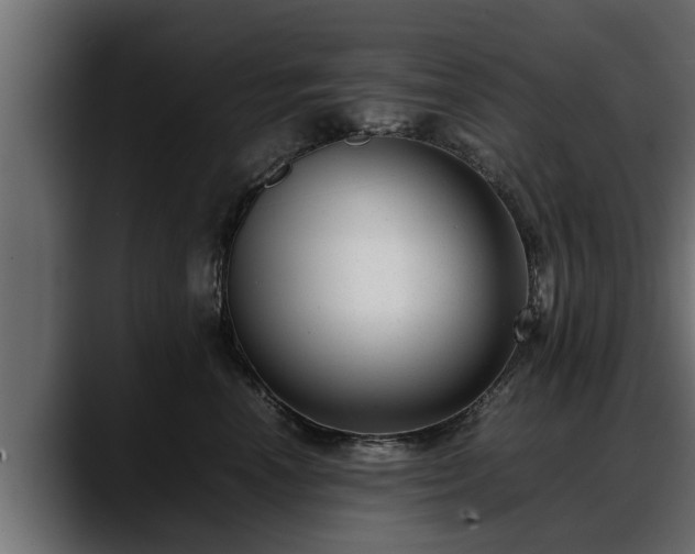 X0000088360666200705291308