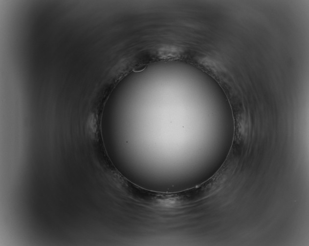 X0000088360667200705291308