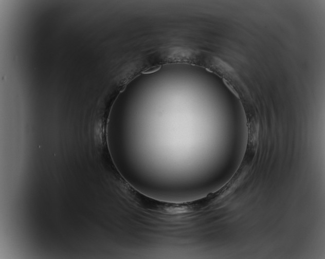 X0000088360669200705291308