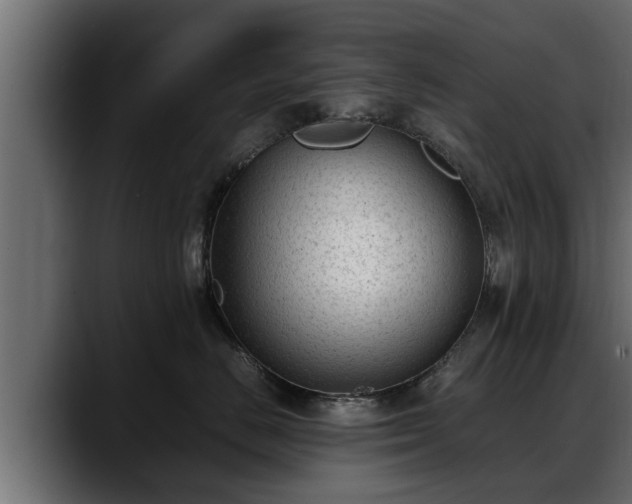 X0000088360670200705291308