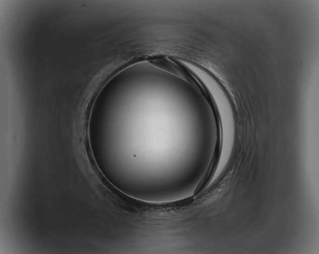 X0000088360673200705291308