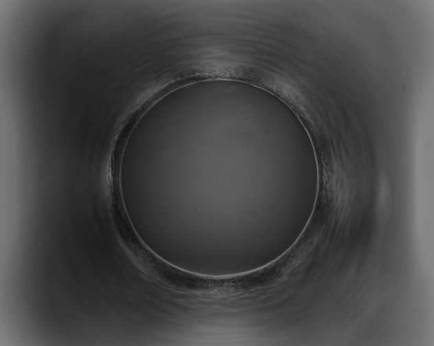 X0000088360674200705291308