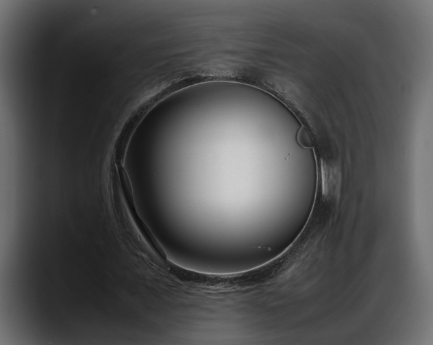 X0000088360675200705291308