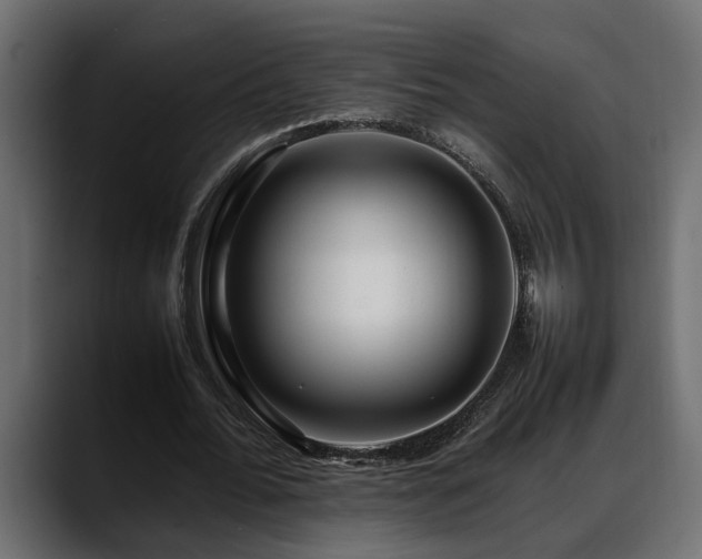 X0000088360676200705291308