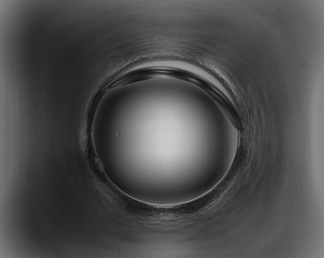 X0000088360677200705291308