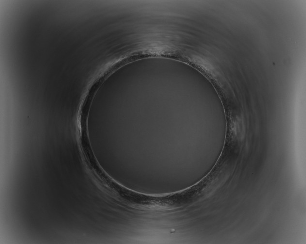 X0000088360678200705291308