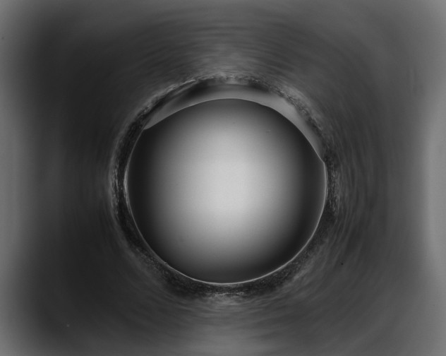 X0000088360680200705291308