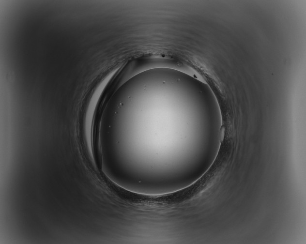 X0000088360681200705291308