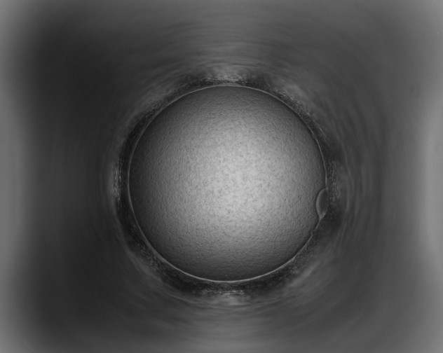 X0000088360683200705291308