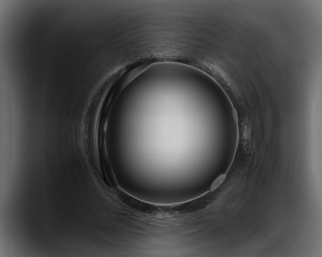 X0000088360684200705291308