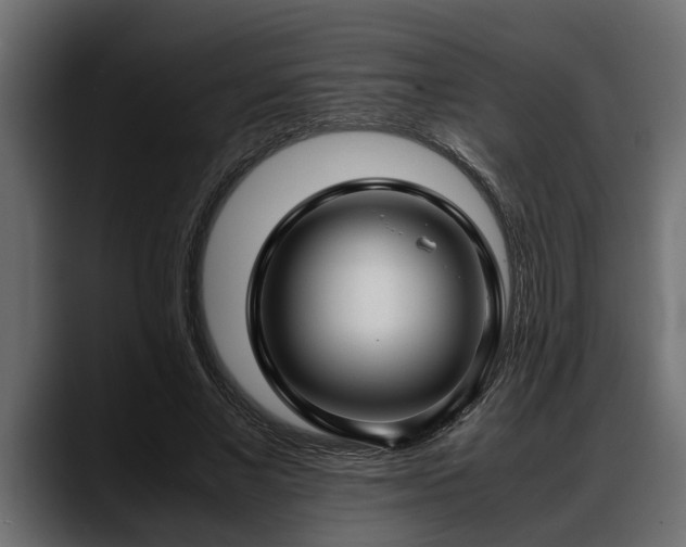 X0000088360685200705291308