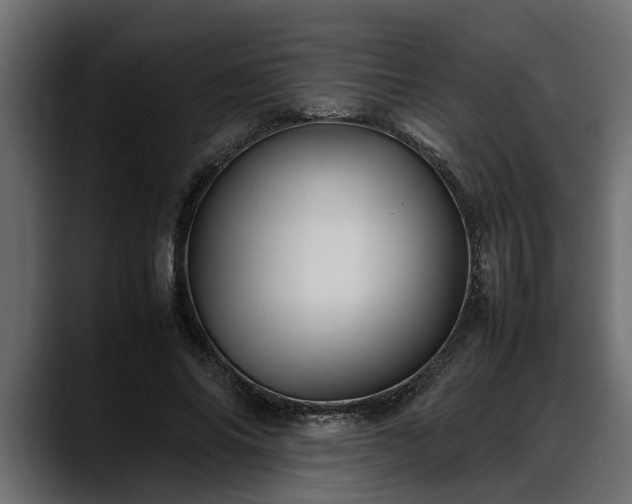 X0000088360686200705291308