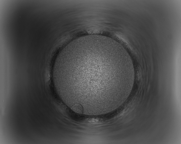 X0000088360687200705291308