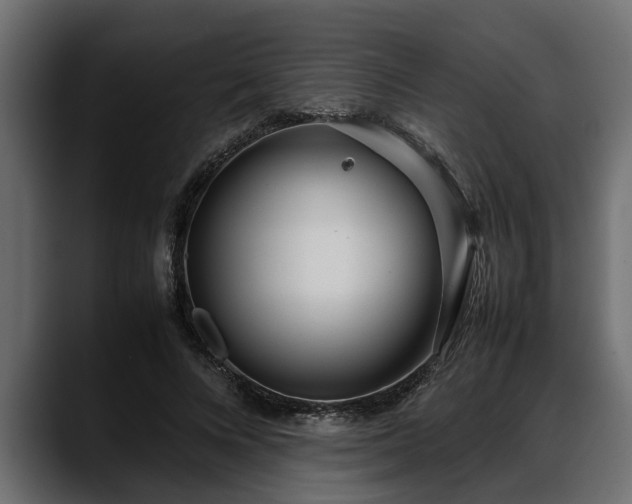 X0000088360688200705291308