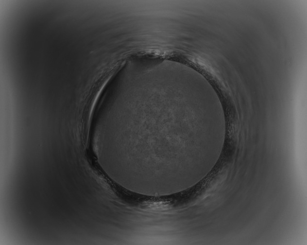 X0000088360689200705291308