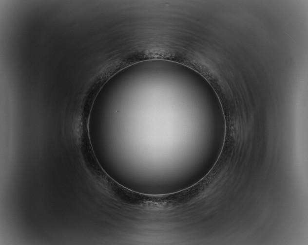 X0000088360690200705291308