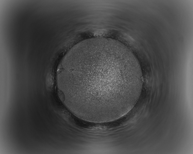 X0000088360691200705291308