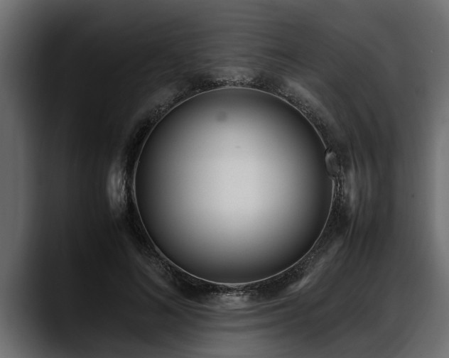 X0000088360692200705291308