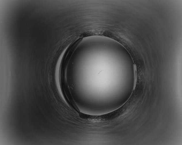 X0000088360693200705291308