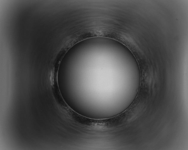 X0000088360694200705291307