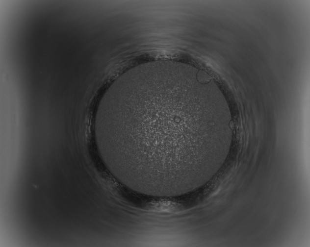 X0000088360695200705291307