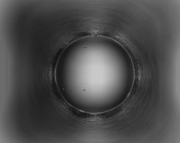 X0000088360696200705291307