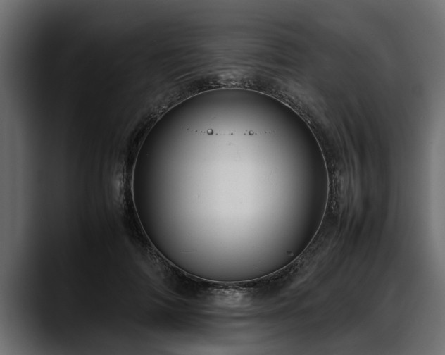 X0000088360698200705291307