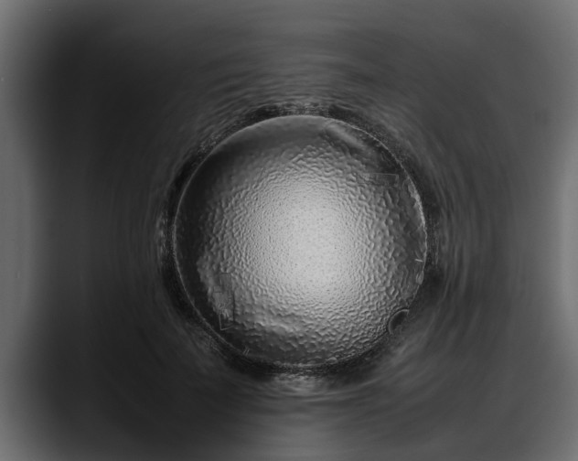 X0000088360699200705291307