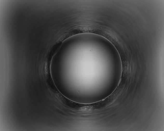 X0000088360700200705291307